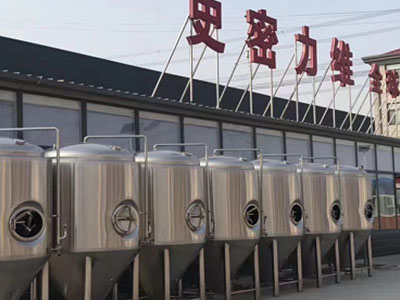 广元精酿啤酒设备厂—如何判断精酿啤酒设备的密封件需要更换？